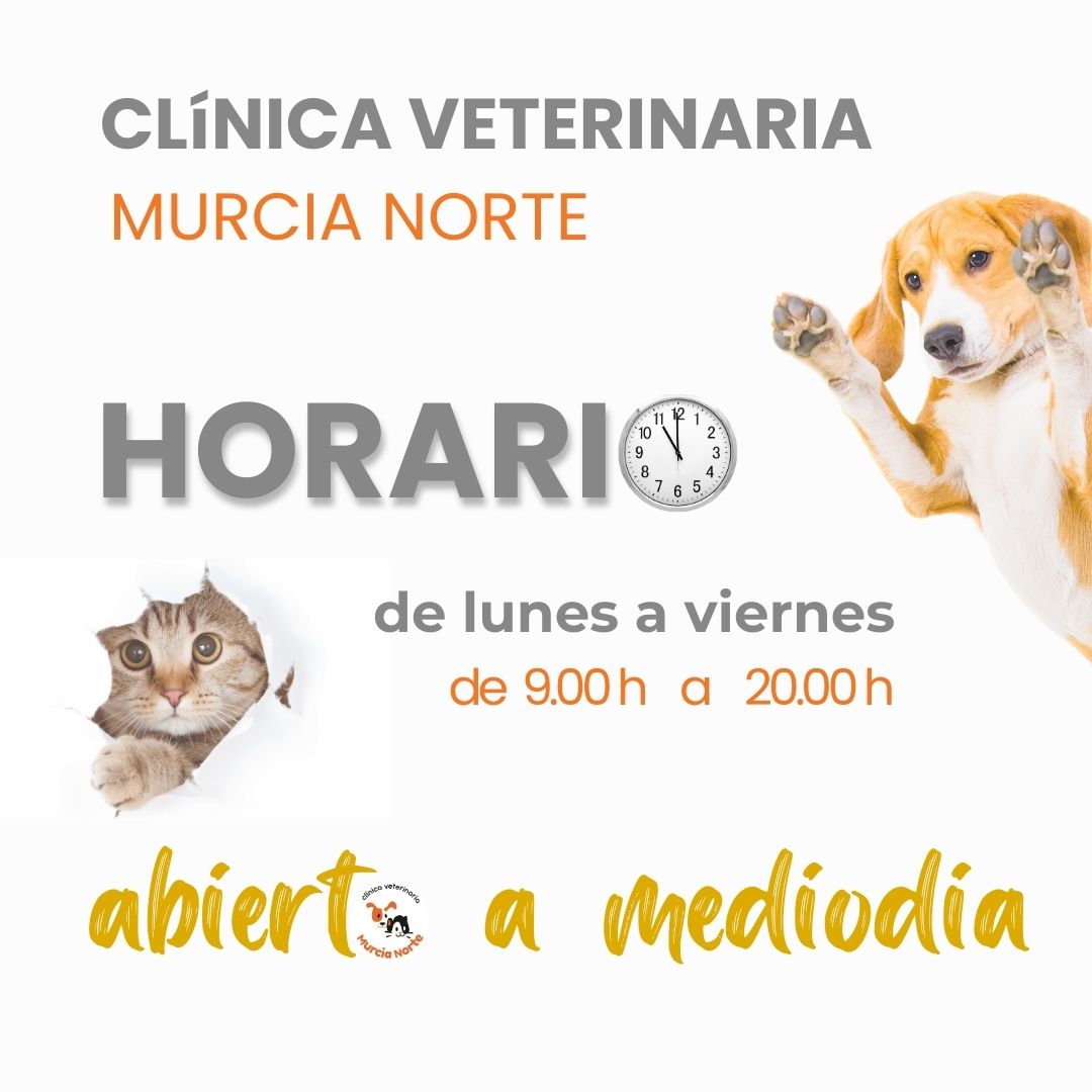 Horario de atención de Clínica Veterinaria Murcia Norte